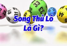 bach-thu-lo-va-song-thu-lo-la-gi