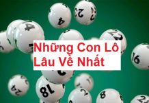 nhung-con-lo-lau-ve-nhat