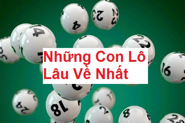 nhung-con-lo-lau-ve-nhat