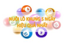nuoi-lo-khung-5-ngay