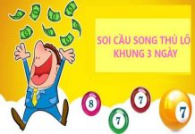 soi-cau-song-thu-lo-chuan