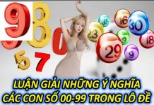 y-nghia-cac-con-so-trong-lo-de