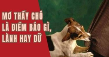mo-thay-cho