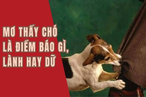 mo-thay-cho